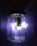 Jam Jar Solar - DIY Solar Powered Outdoor Light